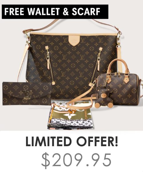 Big bag + Nano speedy + Gifts (Free LV Wallet + Free LV Silk Scarf)