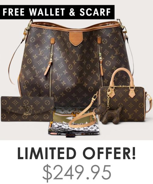 Big bag + Nano speedy + Gifts (Free LV Wallet + Free LV Silk Scarf)