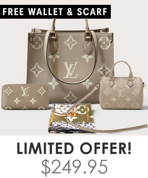 Big bag + Nano speedy + Gifts (Free LV Wallet + Free LV Silk Scarf)