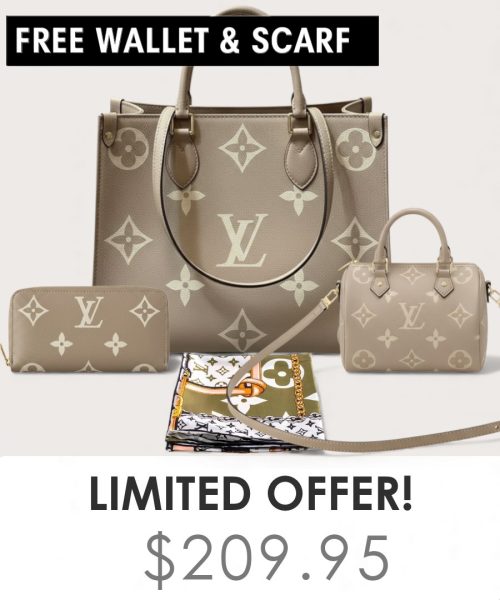 Big bag + Nano speedy + Gifts (Free LV Wallet + Free LV Silk Scarf)