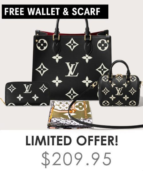 Big bag + Nano speedy + Gifts (Free LV Wallet + Free LV Silk Scarf)