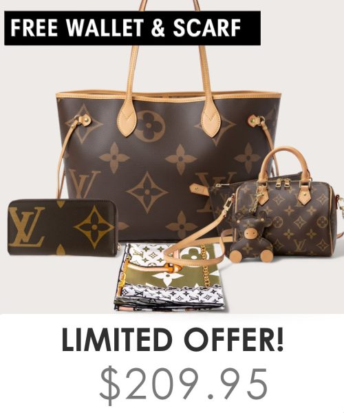 Big bag + Nano speedy + Gifts (Free LV Wallet + Free LV Silk Scarf)