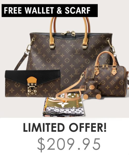 Big bag + Nano speedy + Gifts (Free LV Wallet + Free LV Silk Scarf)