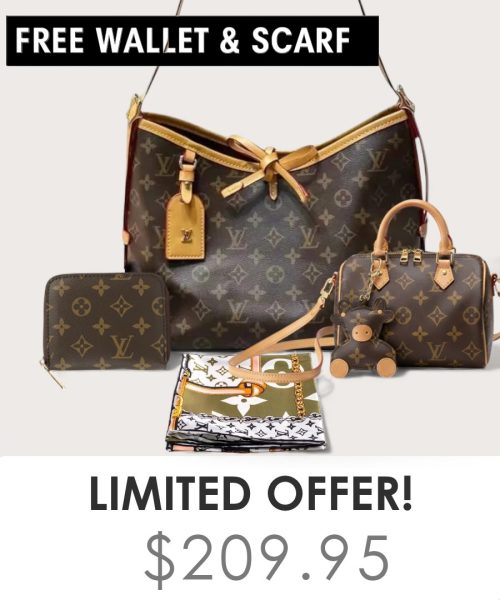 Big bag + Nano speedy + Gifts (Free LV Wallet + Free LV Silk Scarf)