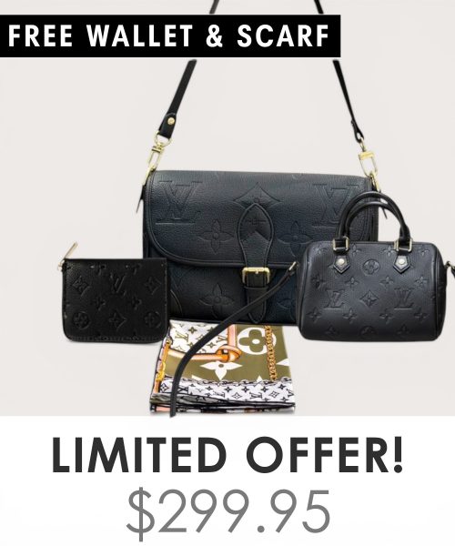 Big bag + Nano speedy + Gifts (Free LV Wallet + Free LV Silk Scarf)