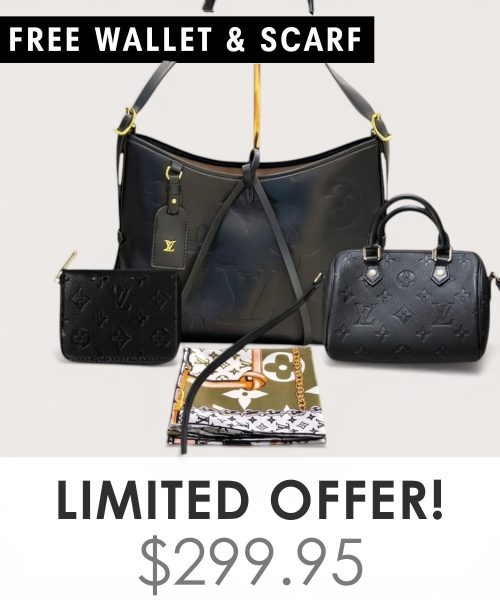 Big bag + Nano speedy + Gifts (Free LV Wallet + Free LV Silk Scarf)