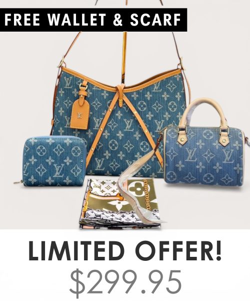 Big bag + Nano speedy + Gifts (Free LV Wallet + Free LV Silk Scarf)