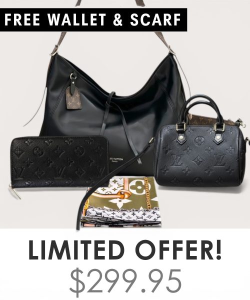 Big bag + Nano speedy + Gifts (Free LV Wallet + Free LV Silk Scarf)