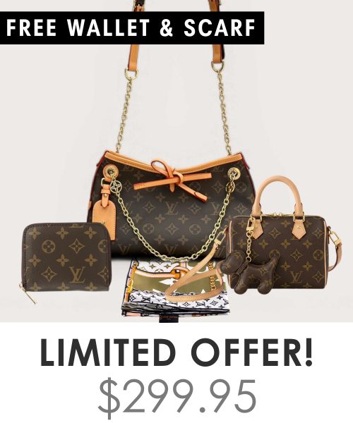 Big bag + Nano speedy + Gifts (Free LV Wallet + Free LV Silk Scarf)