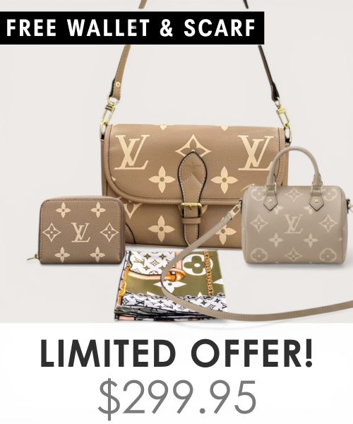 Big bag + Nano speedy + Gifts (Free LV Wallet + Free LV Silk Scarf)