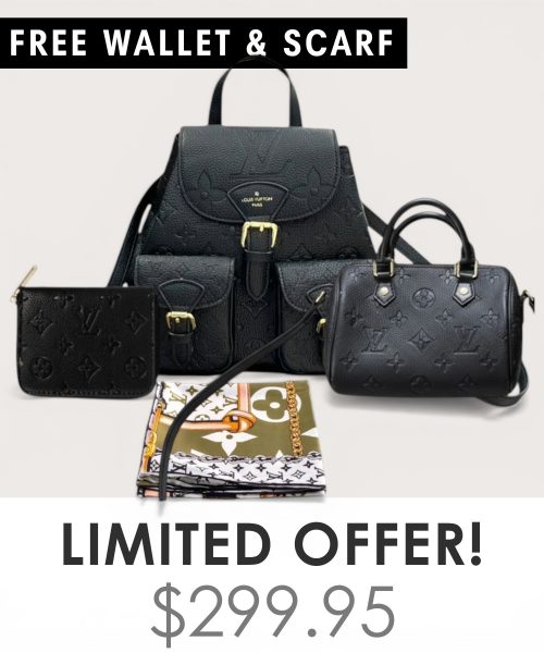 Big bag + Nano speedy + Gifts (Free LV Wallet + Free LV Silk Scarf)