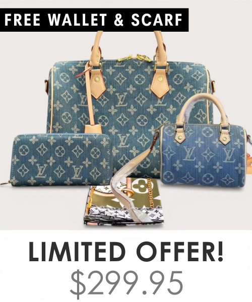 Big bag + Nano speedy + Gifts (Free LV Wallet + Free LV Silk Scarf)