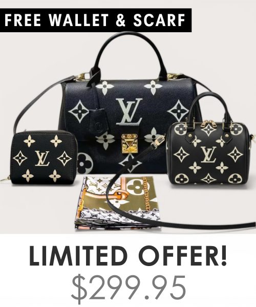 Big bag + Nano speedy + Gifts (Free LV Wallet + Free LV Silk Scarf)