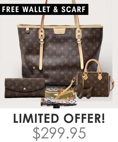 Big bag + Nano speedy + Gifts (Free LV Wallet + Free LV Silk Scarf)
