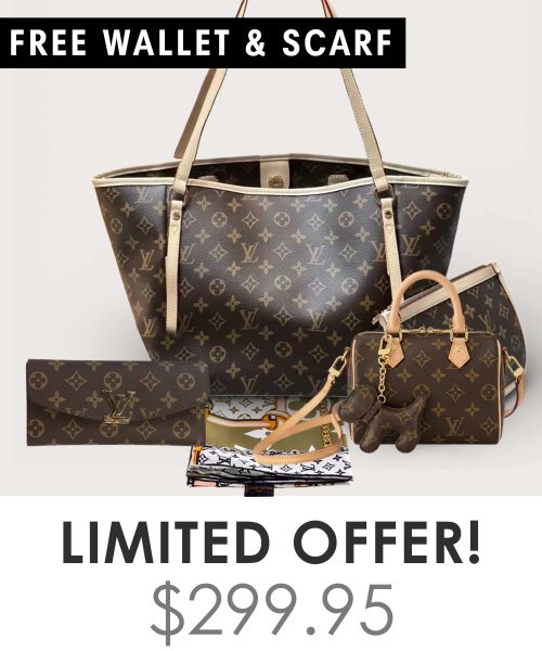 Big bag + Nano speedy + Gifts (Free LV Wallet + Free LV Silk Scarf)