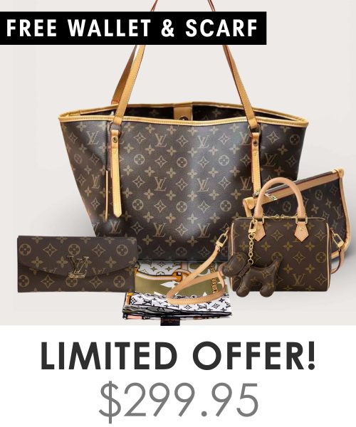 Big bag + Nano speedy + Gifts (Free LV Wallet + Free LV Silk Scarf)