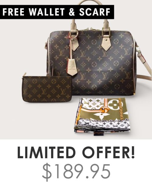 Big Bag + Gifts (FREE LV Wallet & FREE LV Scarf)