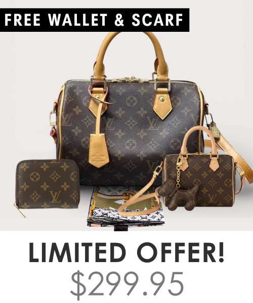 Big bag + Nano speedy + Gifts (Free LV Wallet + Free LV Silk Scarf)
