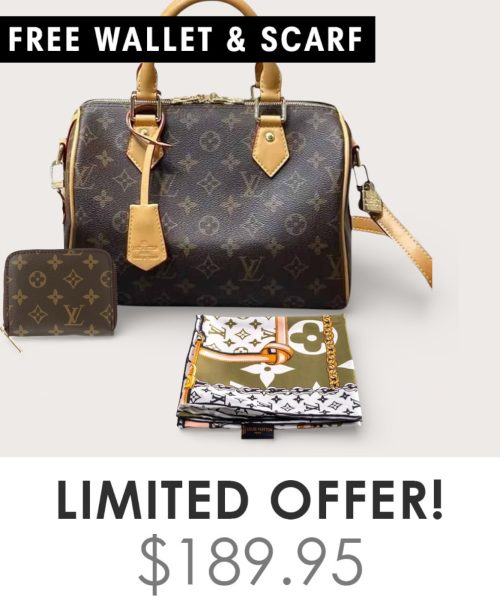 Big Bag + Gifts (FREE LV Wallet & FREE LV Scarf)