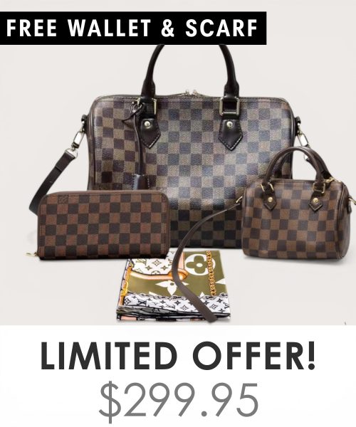 Big bag + Nano speedy + Gifts (Free LV Wallet + Free LV Silk Scarf)