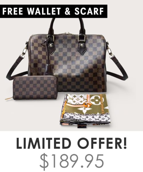 Big Bag + Gifts (FREE LV Wallet & FREE LV Scarf)