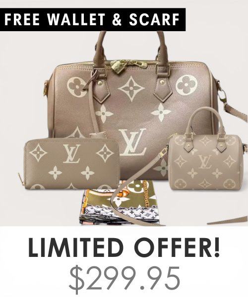 Big bag + Nano speedy + Gifts (Free LV Wallet + Free LV Silk Scarf)