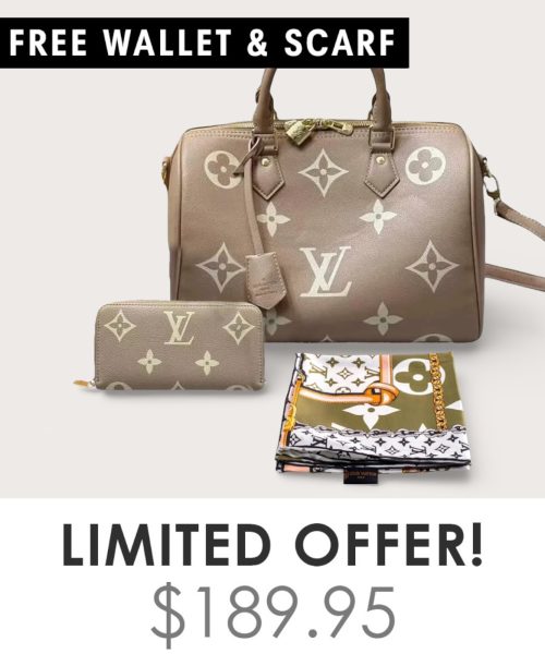 Big Bag + Gifts (FREE LV Wallet & FREE LV Scarf)
