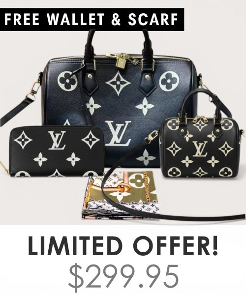 Big bag + Nano speedy + Gifts (Free LV Wallet + Free LV Silk Scarf)