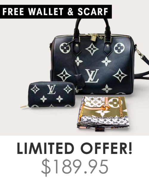 Big Bag + Gifts (FREE LV Wallet & FREE LV Scarf)