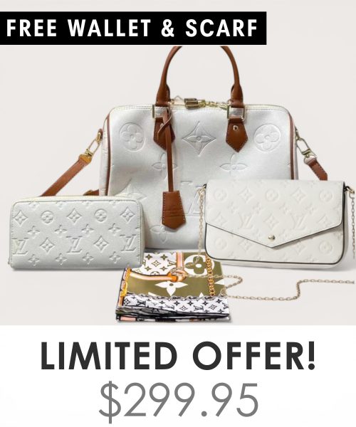 Big bag + Pochette Felicie Mini + Gifts(Free LV Wallet + Free LV Silk Scarf)