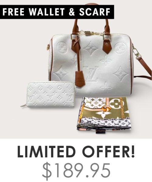 Big Bag + Gifts (FREE LV Wallet & FREE LV Scarf)