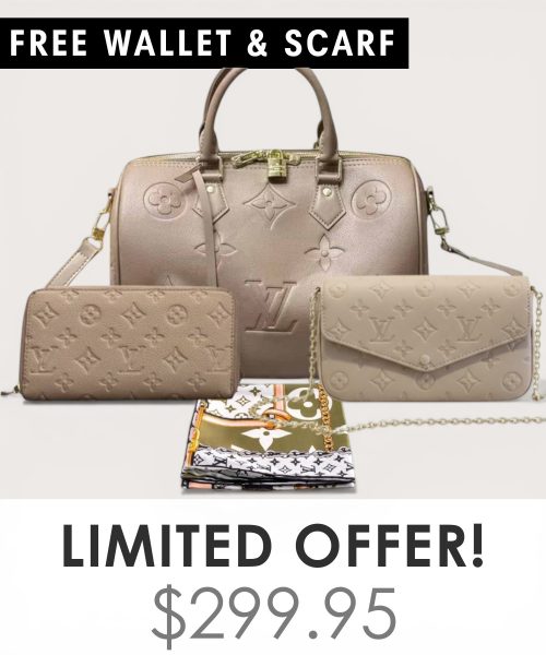Big bag + Pochette Felicie Mini + Gifts(Free LV Wallet + Free LV Silk Scarf)