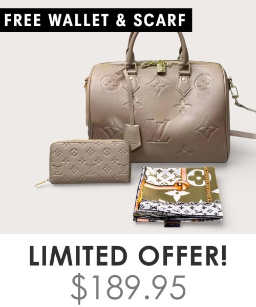 Big Bag + Gifts (FREE LV Wallet & FREE LV Scarf)