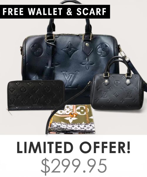 Big bag + Nano speedy + Gifts (Free LV Wallet + Free LV Silk Scarf)