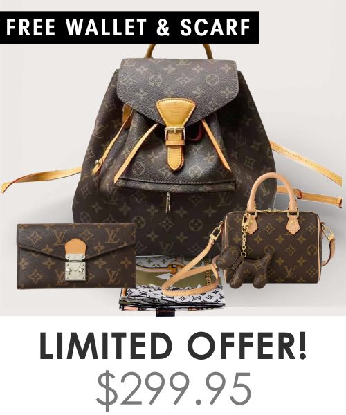 Big bag + Nano speedy + Gifts (Free LV Wallet + Free LV Silk Scarf)