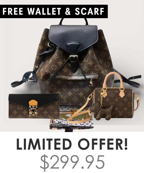 Big bag + Nano speedy + Gifts (Free LV Wallet + Free LV Silk Scarf)