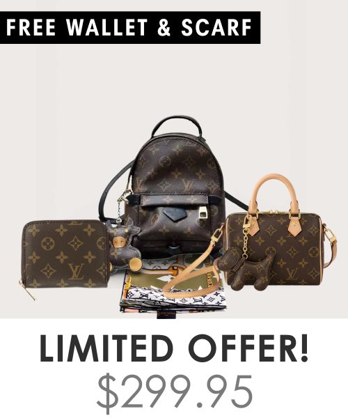 Big bag + Nano speedy + Gifts (Free LV Wallet + Free LV Silk Scarf)