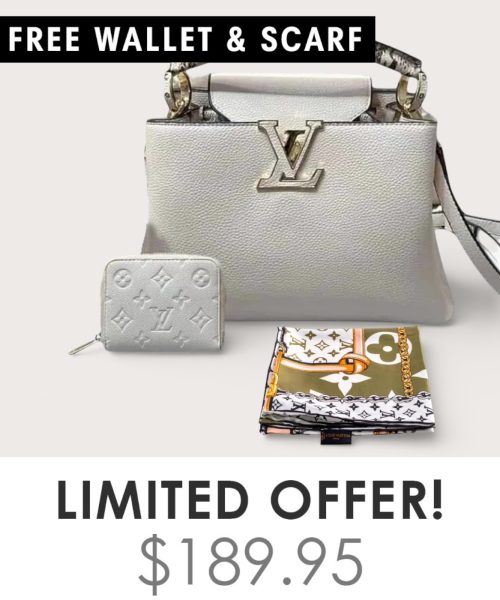 Big Bag + Gifts (FREE LV Wallet & FREE LV Scarf)