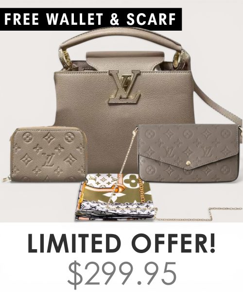 Big bag + Pochette Felicie Mini + Gifts(Free LV Wallet + Free LV Silk Scarf)