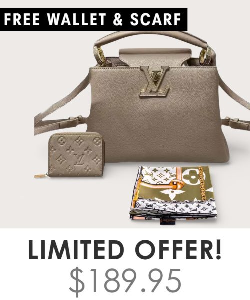 Big Bag + Gifts (FREE LV Wallet & FREE LV Scarf)