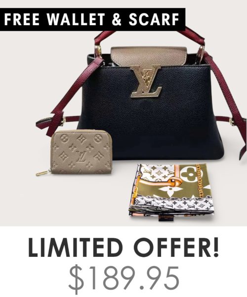 Big Bag + Gifts (FREE LV Wallet & FREE LV Scarf)
