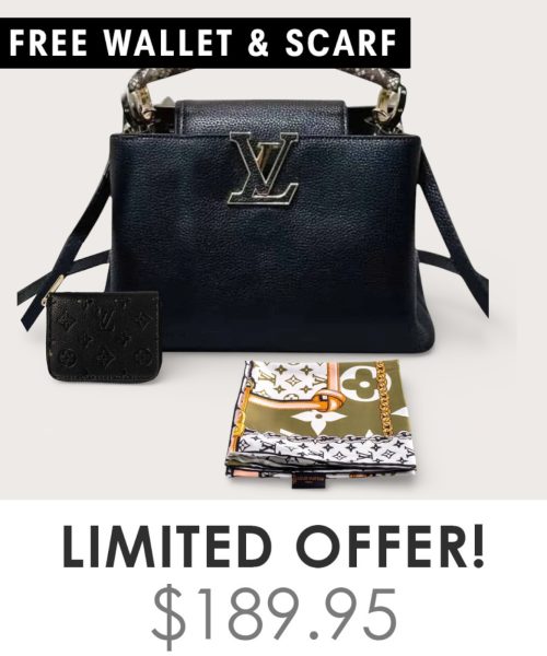 Big Bag + Gifts (FREE LV Wallet & FREE LV Scarf)