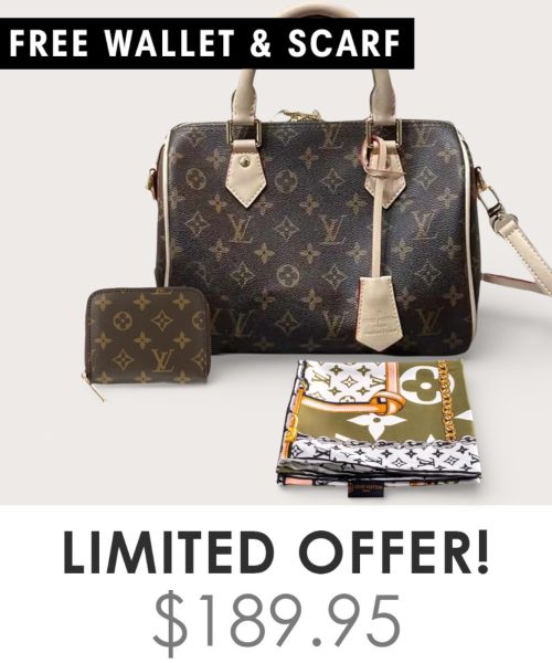 Big Bag + Gifts (FREE LV Wallet & FREE LV Scarf)