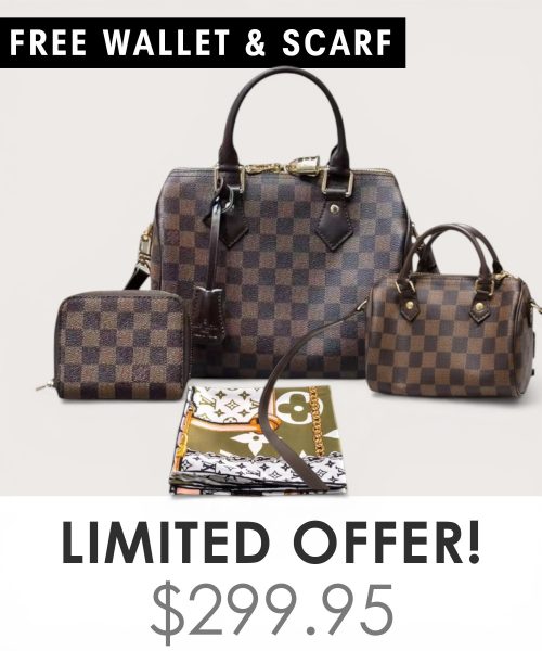 Big bag + Nano speedy + Gifts (Free LV Wallet + Free LV Silk Scarf)