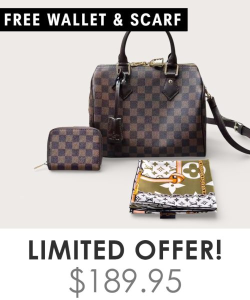 Big Bag + Gifts (FREE LV Wallet & FREE LV Scarf)