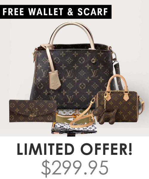 Big bag + Nano speedy + Gifts (Free LV Wallet + Free LV Silk Scarf)