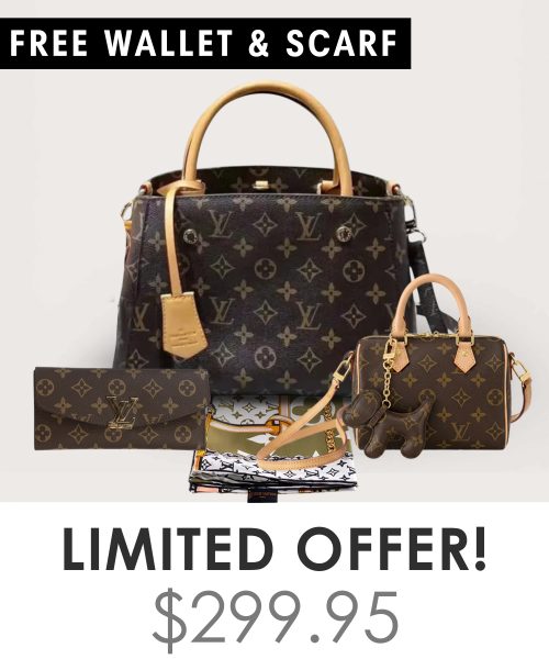Big bag + Nano speedy + Gifts (Free LV Wallet + Free LV Silk Scarf)
