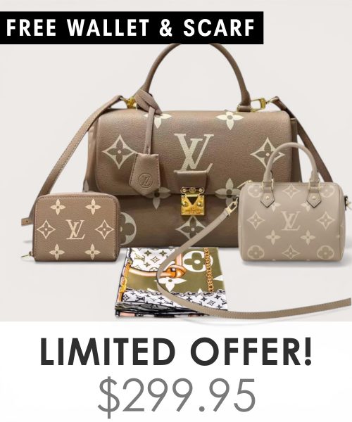 Big bag + Nano speedy + Gifts (Free LV Wallet + Free LV Silk Scarf)