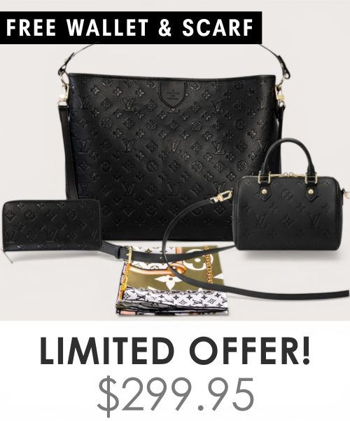 Big bag + Nano speedy + Gifts (Free LV Wallet + Free LV Silk Scarf)