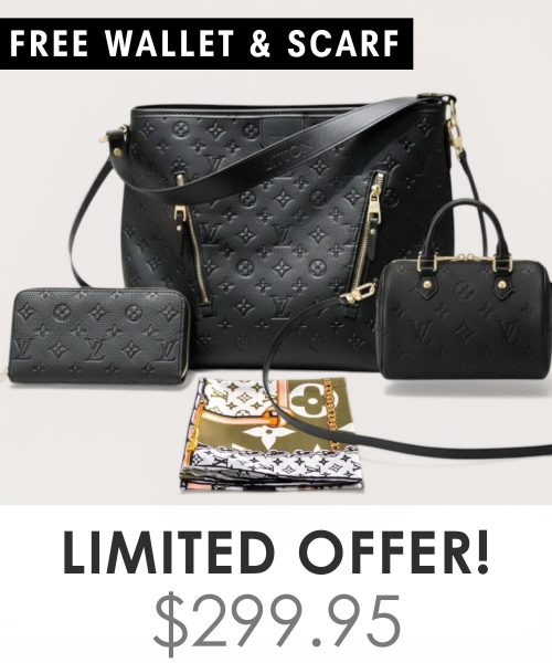 Big bag + Nano speedy + Gifts (Free LV Wallet + Free LV Silk Scarf)